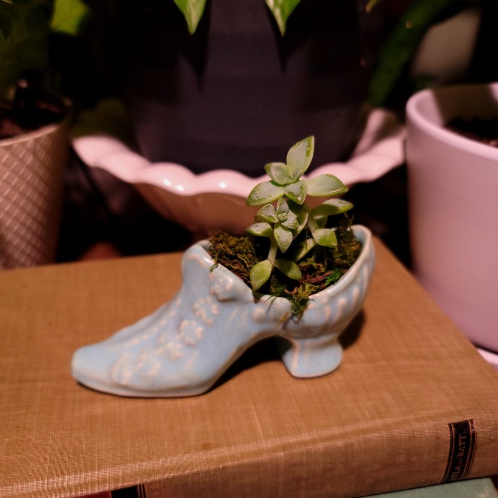 Antique Blue Shoe Planter